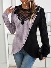abordables Hauts en dentelle-Blouses élégantes en dentelle pour femmes blouse à œillets modernes et stylées à manches longues tops réguliers col ras du cou travail quotidien romantiques petits tenues estivales pour les vacances