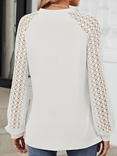 cheap Lace Tops-Women&#039;s White Elegant Lace Tops Eyelet Blouse Fashion Casual Lace Mesh Long Sleeve Regular Tops Crew Neck Daily Romantic Petite Tops Summer Holiday Wear Black White Pink Blue Summer Spring Fall