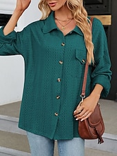 voordelige Vrouwen Werk Tops-Dames Blouse Effen Kleur Casual Lange mouw Overhemdkraag Dagelijks Grijs-Groen blauw Groen Beige Zomer Lente Herfst