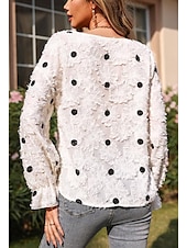 cheap Lace Tops-Women&#039;s Blouse Stylish Modern Ruffle Long Sleeve Regular Tops Crew Neck Work Daily White Spring Fall Winter