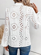 economico Top in Pizzo-camicetta da donna in cotone elegante moderna tinta unita ricamata traforata manica a lanterna manica lunga top normali scollo a V quotidiano bianco primavera autunno inverno