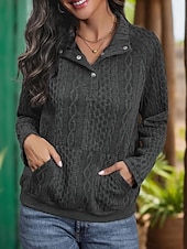preiswerte Einfarbige Farben-Damen Pullover Mode Uni Arbeit Alltag Casual Stehkragen Knöpfe Lockere Passform Langarm Schwarz Herbst Winter