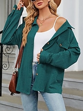 voordelige Vrouwen Werk Tops-Dames Blouse Effen Kleur Casual Lange mouw Overhemdkraag Dagelijks Grijs-Groen blauw Groen Beige Zomer Lente Herfst