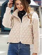 billiga quiltad kappa-Dam Fleece-jacka Håller värmen Dragkedja Mode Modern Ledigt Slät Arbete Dagliga kläder Dragkedja Kort Hög krage Lös passning Långärmad Ytterkläder Svart Vit Rubinrött Höst Vinter