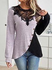 abordables Hauts en dentelle-Blouses élégantes en dentelle pour femmes blouse à œillets modernes et stylées à manches longues tops réguliers col ras du cou travail quotidien romantiques petits tenues estivales pour les vacances