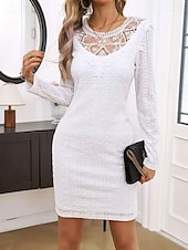 economico Abiti in pizzo bianco-Per donna Abito semplice Mini abito Pizzo Collage Informale Girocollo Manica lunga Bianco Colore