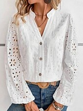 economico Top in Pizzo-camicetta da donna in cotone elegante moderna tinta unita ricamata traforata manica a lanterna manica lunga top normali scollo a V quotidiano bianco primavera autunno inverno