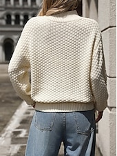 abordables Couleurs unies-Femme Pull Chandail Décontractées Flexible Couleur unie Col montant Texturé manche longue Hauts réguliers Tricoter Extérieur Travail du quotidien Noir Blanche Automne Hiver
