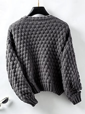 economico Pullover e top-Per donna Felpa Moda Tinta unica Grosso Girocollo Intrecciato Manica lunga Maglie lunghe Maglia Ufficio Bianco Beige Autunno Inverno