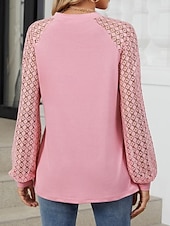 cheap Lace Tops-Women&#039;s White Elegant Lace Tops Eyelet Blouse Fashion Casual Lace Mesh Long Sleeve Regular Tops Crew Neck Daily Romantic Petite Tops Summer Holiday Wear Black White Pink Blue Summer Spring Fall