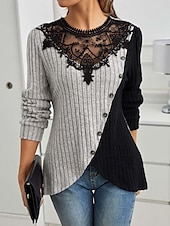 abordables Hauts en dentelle-Blouses élégantes en dentelle pour femmes blouse à œillets modernes et stylées à manches longues tops réguliers col ras du cou travail quotidien romantiques petits tenues estivales pour les vacances