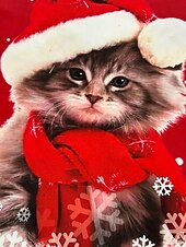 preiswerte Weihnachts-T-Shirts-Damen Sweatshirt süßes Kätzchen Weihnachtsmannmütze Langarm Winter lässig festlich rot Grafik Rundhals Oberteil gemütlich bequem