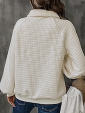 abordables Sweatshirts et Hoodies Texturés-sweat-shirt femme chaud texturé uni travail décontracté à capuche coupe ample manches longues blanc automne hiver