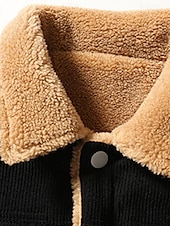 cheap Men&#039;s Vest-Men&#039;s Fleece Vest Vest Gilet Daily Date Vacation Fashion Casual Fall &amp; Winter Button Pocket Polyester Corduroy Thermal Warm Comfortable Plain Single Breasted One-button Lapel Regular Fit Black Brown