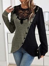 abordables Hauts en dentelle-Blouses élégantes en dentelle pour femmes blouse à œillets modernes et stylées à manches longues tops réguliers col ras du cou travail quotidien romantiques petits tenues estivales pour les vacances