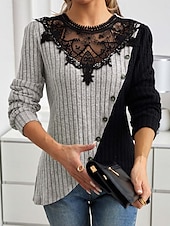 abordables Hauts en dentelle-Blouses élégantes en dentelle pour femmes blouse à œillets modernes et stylées à manches longues tops réguliers col ras du cou travail quotidien romantiques petits tenues estivales pour les vacances