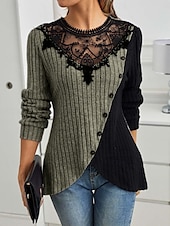 abordables Hauts en dentelle-Blouses élégantes en dentelle pour femmes blouse à œillets modernes et stylées à manches longues tops réguliers col ras du cou travail quotidien romantiques petits tenues estivales pour les vacances