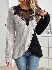 abordables Hauts en dentelle-Blouses élégantes en dentelle pour femmes blouse à œillets modernes et stylées à manches longues tops réguliers col ras du cou travail quotidien romantiques petits tenues estivales pour les vacances