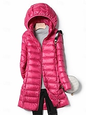 abordables Doudounes &amp; Parkas-Femme Doudoune Chaud Respirable Zippé Poche Décontractées Plein Vacances Plein Air Usage quotidien Sortie fermeture Éclair Longue Sweat à capuche Standard manche longue Vêtements d&#039;extérieur Vin