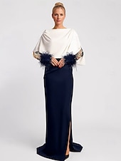 preiswerte SCHWARZ-Schwarzes Kleid Meerjungfrau Abendkleid elegantes Kleid formell Auslauf  Pinsel Zug Langarm Illusion-Ausschnitt Champagner Mutter der Braut Kleid dehnbarer Krepp mit Feder
