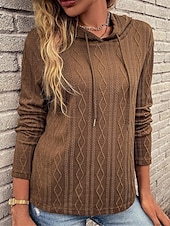 cheap Solid Colors-Women&#039;s Sweater Pullover Sweater Jumper Casual Soft Pure Color Ribbed Hooded Knitted Long Sleeve Regular Tops Knit Outdoor Daily Weekend Wine Brown Fall Winter