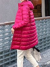 abordables Doudounes &amp; Parkas-Femme Doudoune Chaud Respirable Zippé Poche Décontractées Plein Vacances Plein Air Usage quotidien Sortie fermeture Éclair Longue Sweat à capuche Standard manche longue Vêtements d&#039;extérieur Vin