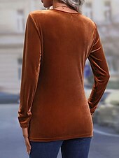 billige Dressy topper-Dame Skjorte Bluse Helfarge Fritid Langermet Biskop Crew-hals Vanlige topper Daglig Tunika Brun Høst Vinter