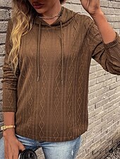cheap Solid Colors-Women&#039;s Sweater Pullover Sweater Jumper Casual Soft Pure Color Ribbed Hooded Knitted Long Sleeve Regular Tops Knit Outdoor Daily Weekend Wine Brown Fall Winter