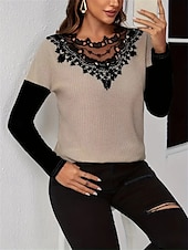 economico Top in Pizzo-Top in pizzo elegante da donna blusa all&#039;uncinetto moda moderna casual top semplici regolari maniche lunghe scollo rotondo vestibilità regolare abbigliamento quotidiano weekend romantico top petite