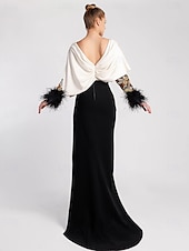 preiswerte SCHWARZ-Schwarzes Kleid Meerjungfrau Abendkleid elegantes Kleid formell Auslauf  Pinsel Zug Langarm Illusion-Ausschnitt Champagner Mutter der Braut Kleid dehnbarer Krepp mit Feder