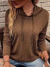 cheap Solid Colors-Women&#039;s Sweater Pullover Sweater Jumper Casual Soft Pure Color Ribbed Hooded Knitted Long Sleeve Regular Tops Knit Outdoor Daily Weekend Wine Brown Fall Winter