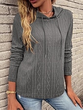 cheap Solid Colors-Women&#039;s Sweater Pullover Sweater Jumper Casual Soft Pure Color Ribbed Hooded Knitted Long Sleeve Regular Tops Knit Outdoor Daily Weekend Wine Brown Fall Winter