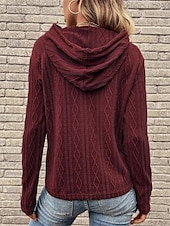 cheap Solid Colors-Women&#039;s Sweater Pullover Sweater Jumper Casual Soft Pure Color Ribbed Hooded Knitted Long Sleeve Regular Tops Knit Outdoor Daily Weekend Wine Brown Fall Winter