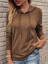 cheap Solid Colors-Women&#039;s Sweater Pullover Sweater Jumper Casual Soft Pure Color Ribbed Hooded Knitted Long Sleeve Regular Tops Knit Outdoor Daily Weekend Wine Brown Fall Winter