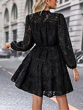 preiswerte Kleider für die Arbeit-Damen Spitzenkleid Minikleid Spitze Patchwork Brautkleider schlicht Ständer Langarm Schwarz Wein Grün Farbe