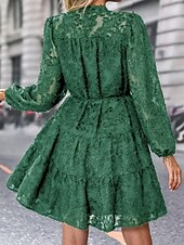 preiswerte Kleider für die Arbeit-Damen Spitzenkleid Minikleid Spitze Patchwork Brautkleider schlicht Ständer Langarm Schwarz Wein Grün Farbe