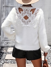 cheap Solid Colors-Women&#039;s Sweater Casual Soft Pure Color Ribbed Crew Neck Lace Patchwork Knitted Long Sleeve Regular Tops Knit Outdoor Daily Weekend Black White Fall Winter