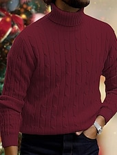 billige genser for menn-Herre Turtleneck genser Genser Riflet Kabel Strikke Strikket عادي Rullekrage Hold Varm Moderne Moderne Dagligdagstøy Ut på byen Klær Høst vinter Svart Hvit M L XL