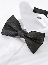 お買い得  メンズネクタイ＆蝶ネクタイ-男性用ペイズリー柄蝶ネクタイ - 結婚式、パーティー、ビジネスイベントに最適なエレガントなフォーマルネクタイ