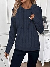 preiswerte Texturierte Kapuzenpullover &amp; Sweatshirts-Damen Kapuzenpullover Sweatshirt Casual Plain Street Alltagskleidung Kapuzenpullover Langarm Wein Marineblau Hellgrau Herbst Winter