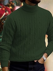 billige genser for menn-Herre Turtleneck genser Genser Riflet Kabel Strikke Strikket عادي Rullekrage Hold Varm Moderne Moderne Dagligdagstøy Ut på byen Klær Høst vinter Svart Hvit M L XL