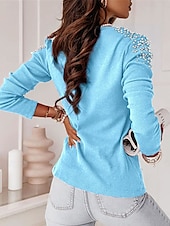 voordelige Dames eenvoudige tops-Dames Overhemd Blouse Effen Kleur Basic Casual Lange mouw V-hals Normale tops Dagelijks Lapwerk Sierstenen blauw Herfst Winter
