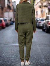 preiswerte Trainingsanzüge für Damen-Damen Modisch Strassenmode Täglich Hemd Chinesisch Chino Langarm Hemdkragen Glatt Casual Täglich Rosa Grün Khaki Herbst Regular Fit