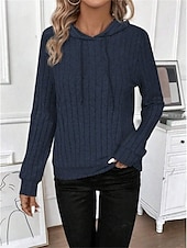preiswerte Texturierte Kapuzenpullover &amp; Sweatshirts-Damen Kapuzenpullover Sweatshirt Casual Plain Street Alltagskleidung Kapuzenpullover Langarm Wein Marineblau Hellgrau Herbst Winter