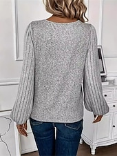 abordables Hauts en dentelle-Blouses en dentelle élégante pour femmes blouses ajourées tops réguliers unis décontractés à manches longues col rond patchwork en dentelle ajustement régulier quotidiens romantiques petits tops pour