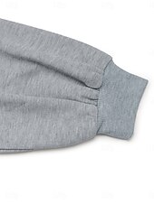 economico Felpe e Sweatshirt Texturizzati-felpa da donna casual semplice strada abbigliamento quotidiano girocollo patchwork manica lunga grigio autunno inverno