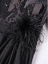 preiswerte SCHWARZ-A-Linie Abendkleid elegantes Kleid formell asymmetrisch Langarm Stehkragen Chiffon mit Federn Perlen Pailletten 2025