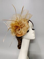 billige Coiffer-fascinators Nett slørhatt Bryllup Damenes dag Med Fjær Kronblader Hodeplagg Hodeplagg