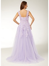 cheap Prom Dresses-A-Line Prom Dresses Elegant Dress Formal Sweep / Brush Train Sleeveless Floor Length Sweetheart Tulle with Pleats Sequin Appliques 2025