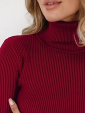 abordables Couleurs unies-Femme Pull Chandail Décontractées Flexible Couleur monochrome A côtes Col Roulé Tricoté manche longue Hauts réguliers Tricoter Extérieur du quotidien Fin de semaine Noir Blanche Automne Hiver